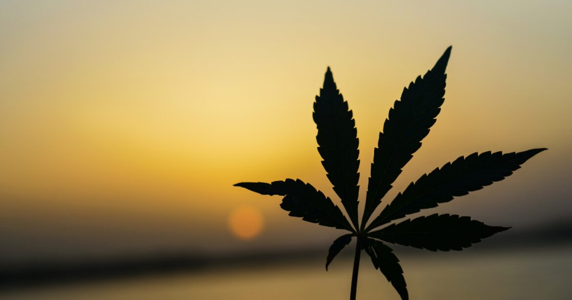 ‘Nothing Is to Be Rejected’ — Including Pot?
