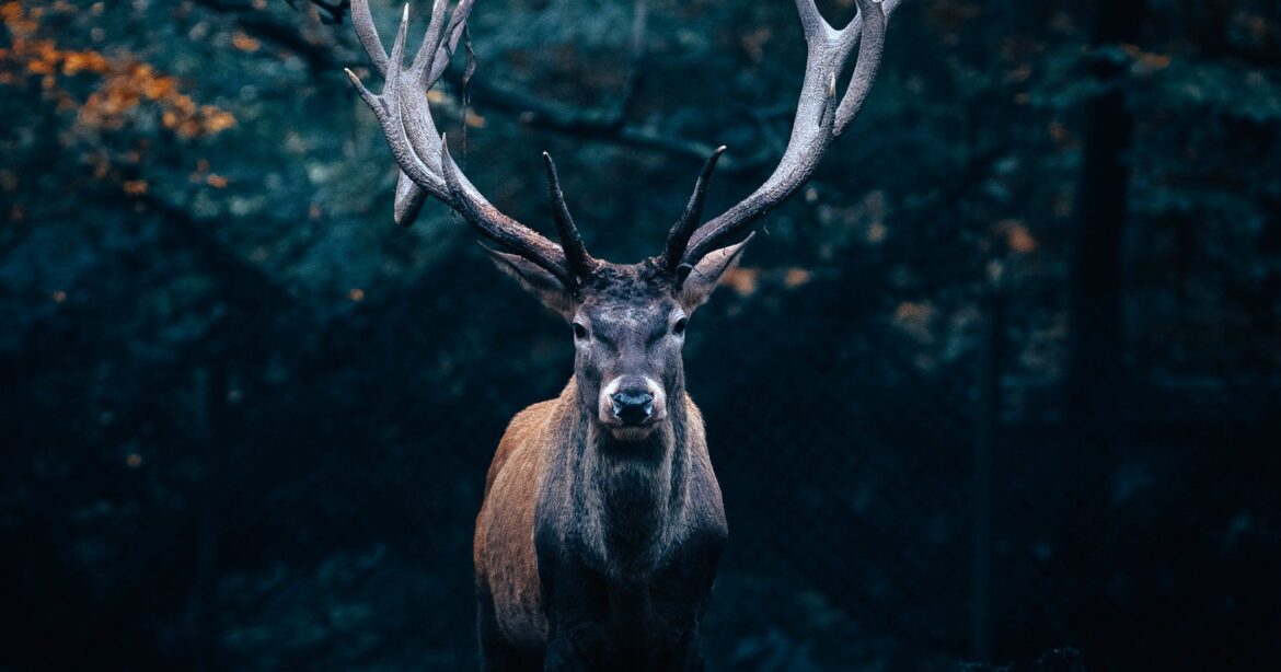 Roast What You Kill: Becoming a Man Who Follows Through
