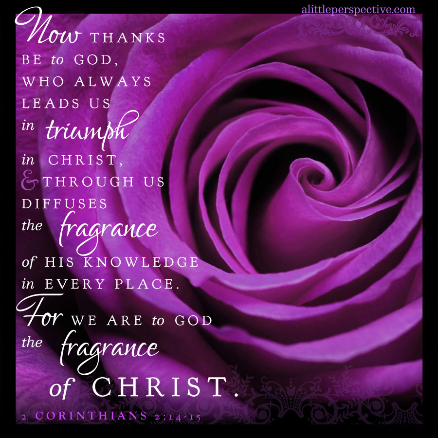 How to triumph in Christ.
