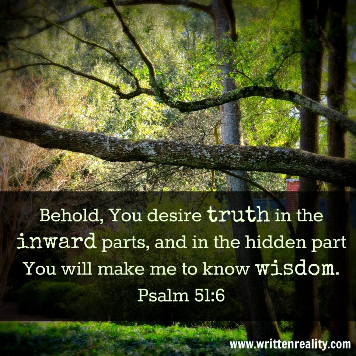 I desire truth in the inward parts.
