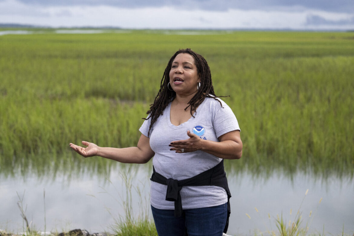 The Gullah-Geechee Community Fights To Protect Their Land From Gentrifiers