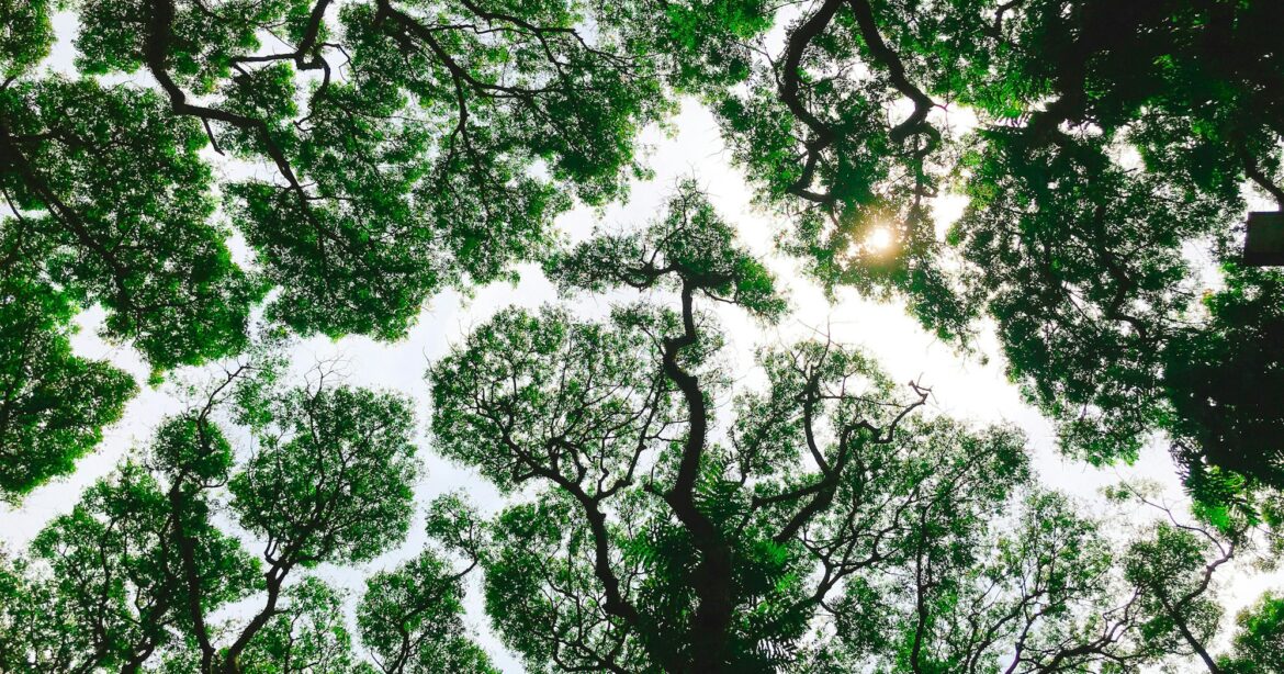 God’s Beloved Sun: Enjoying His Pleasure in Creation