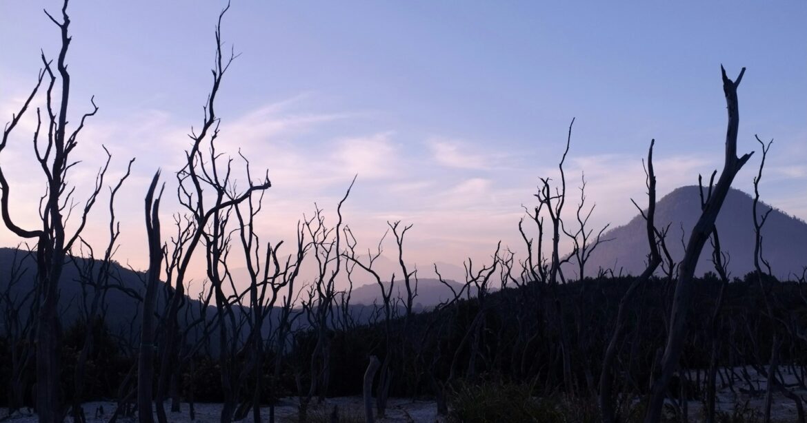 Theology Without a Heart: Four Signs of Dead Orthodoxy