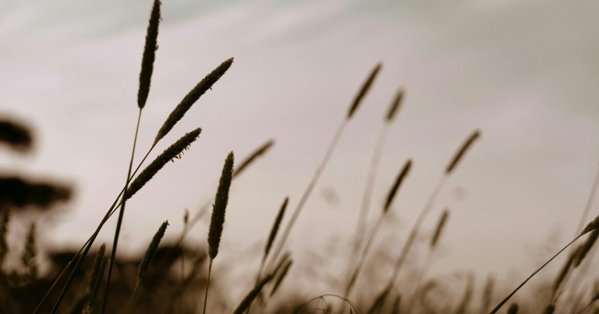 Do Christian Hedonists Deny Self-Denial?