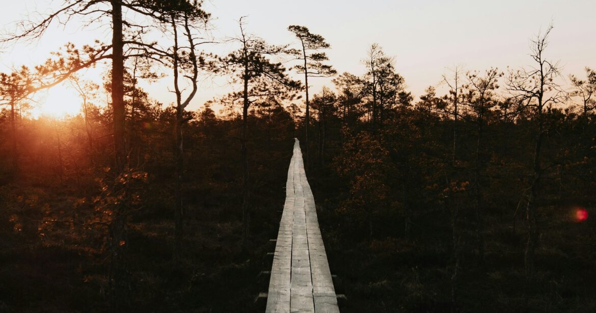 Forget About Yourself: Six Paths to Better Thoughts